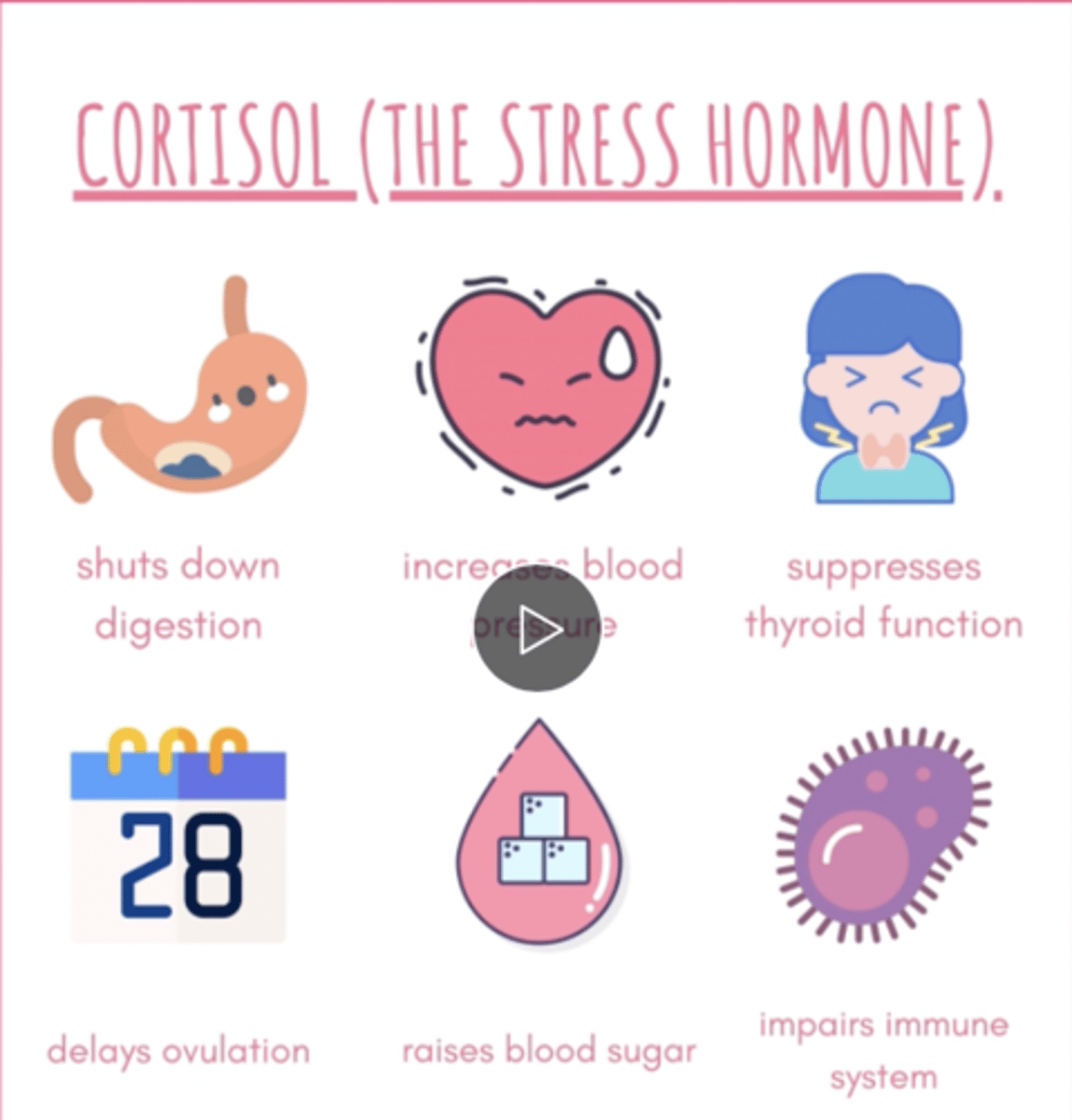<p>*Ding, Ding, Ding**</p><p>a. Primary stress hormone</p><p>Suppresses the immune system by suppressing the Th-1 cell activity (T1 helper cells) (part of the adaptive immune system-3rd line of defense)</p><p>Increases glucose</p>