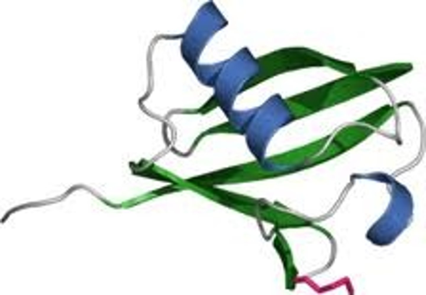 <p>A small regulatory protein that has been found in almost all tissues (ubiquitously) of eukaryotic organisms. Among other functions, it directs protein recycling.It can be attached to proteins and label them for destruction. This protein tag directs proteins to the proteasome, which is a large protein complex in the cell that degrades and recycles unneeded proteins. This discovery won the Nobel Prize for chemistry in 2004.</p><p>The tags can also direct proteins to other locations in the cell, where they control other protein and cell mechanisms.</p>