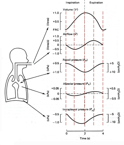 <p>explain what is happening at the 5th line</p>