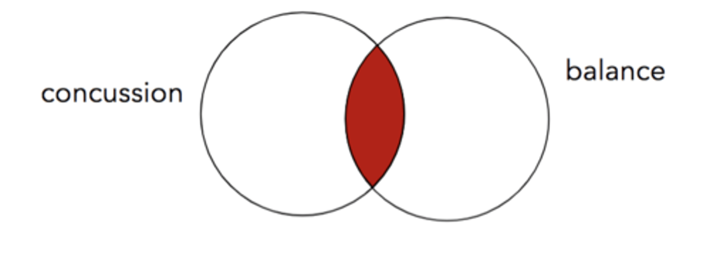 <p>concussion AND balance</p>