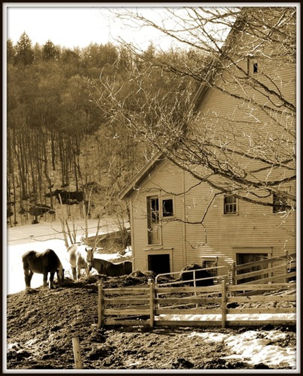 <p>concerning regions outside a city, sometimes regarded as unsophisticated</p>