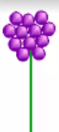<p>similar to an umbel except that the flowers are sessile and attached to a broad expansion of the inflorescence stalk</p>
