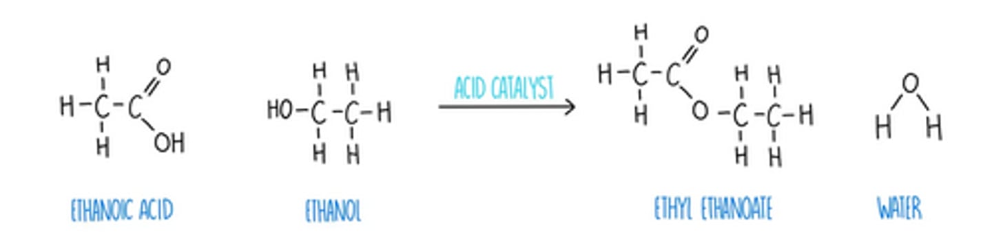 <p>• esterification</p><p>• reagents; H⁺ catalyst</p><p>• conditions; reflux</p>