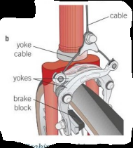 Braking on a bicycle