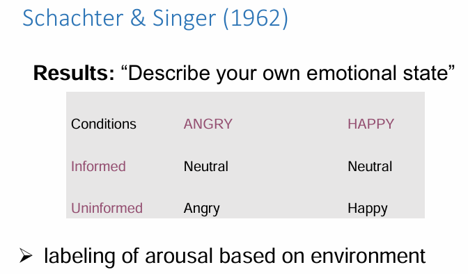 <p>Emotion depends on the interpretation of arousal in the context of situational cues (i.e. a person’s judgments about why his/her physiology has changed)</p><p>Our experience of emotion depends on 2 factors: general arousal and a cognitive label</p><p>ex. We may interpret our arousal as fear or excitement depending on the context </p><p>Method: </p><ul><li><p>Injections of Epinephrine (higher heart and respiration rate)</p></li><li><p>IV: </p><ul><li><p>Informed vs. ignorant</p></li><li><p>Angry vs. euphoric confederate</p></li></ul></li><li><p>DV:</p><ul><li><p>Participants’ emotional reaction to confederate’s behavior</p></li></ul></li><li><p>Same physiological response, different attribution</p></li></ul><p>Results: labeling of arousal IS based on environment</p>
