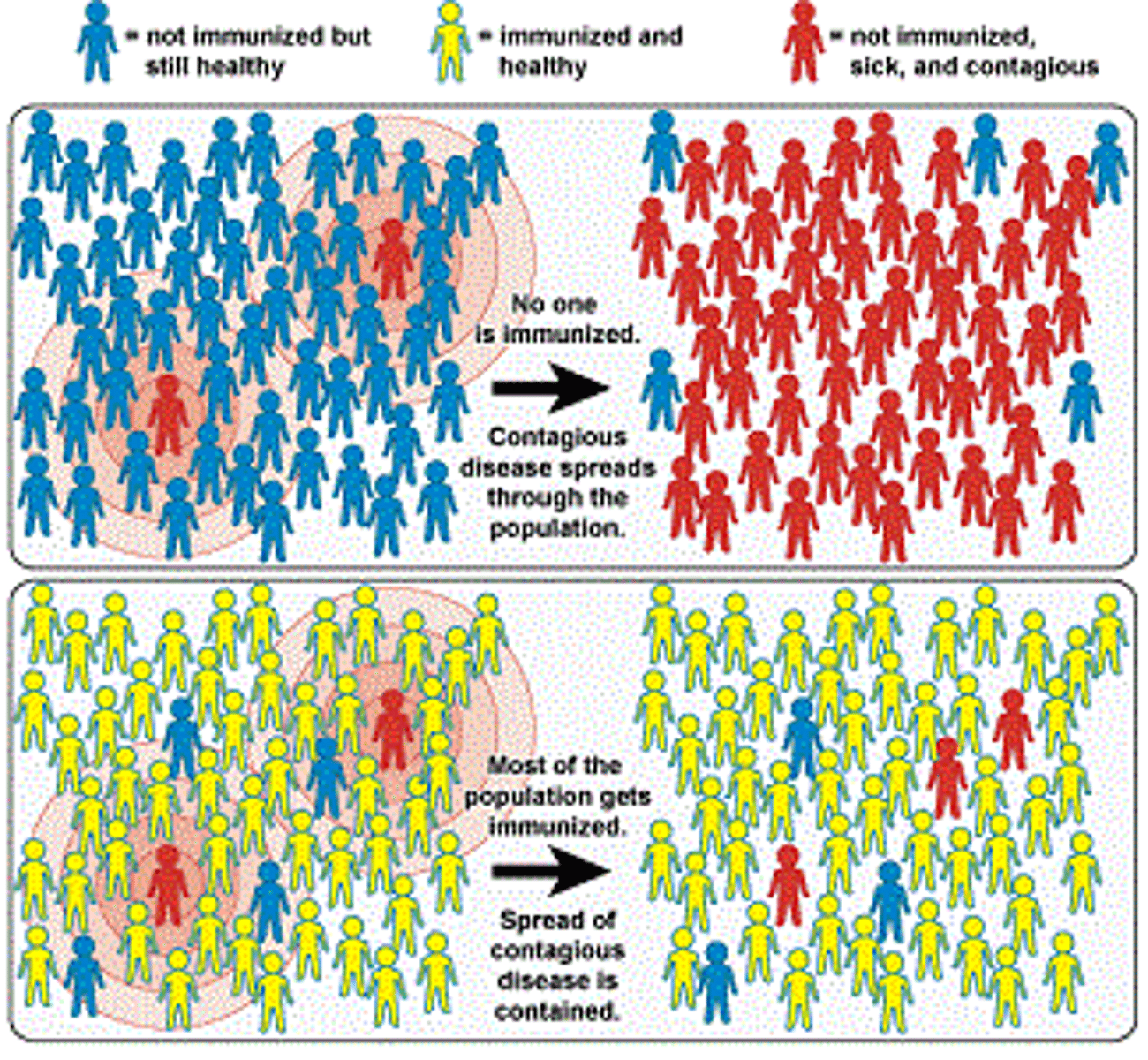 <p>majority of population is resistant to antigen and pathogen cannot spread</p>