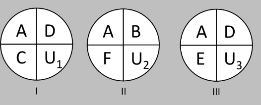 <p>A way of thinking about the multiple causes of complex diseases and health outcomes.</p><p>Interaction/accumulation of component causes over time.</p><p>Understanding multiple pathways to disease.</p><p>Imagine a complex disease with several known component causes A-F and some unknown component causes (U)</p><p>Component causes can combine in different ways that make up sufficient casual mechanisms (I-III) that result in disease.</p><p>Component cause A is a necessary cause. It is present in all sufficient casual mechanisms. Disease cannot result unless A is present.</p><p></p>