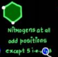 <p>the first and third members are nitrogen</p>