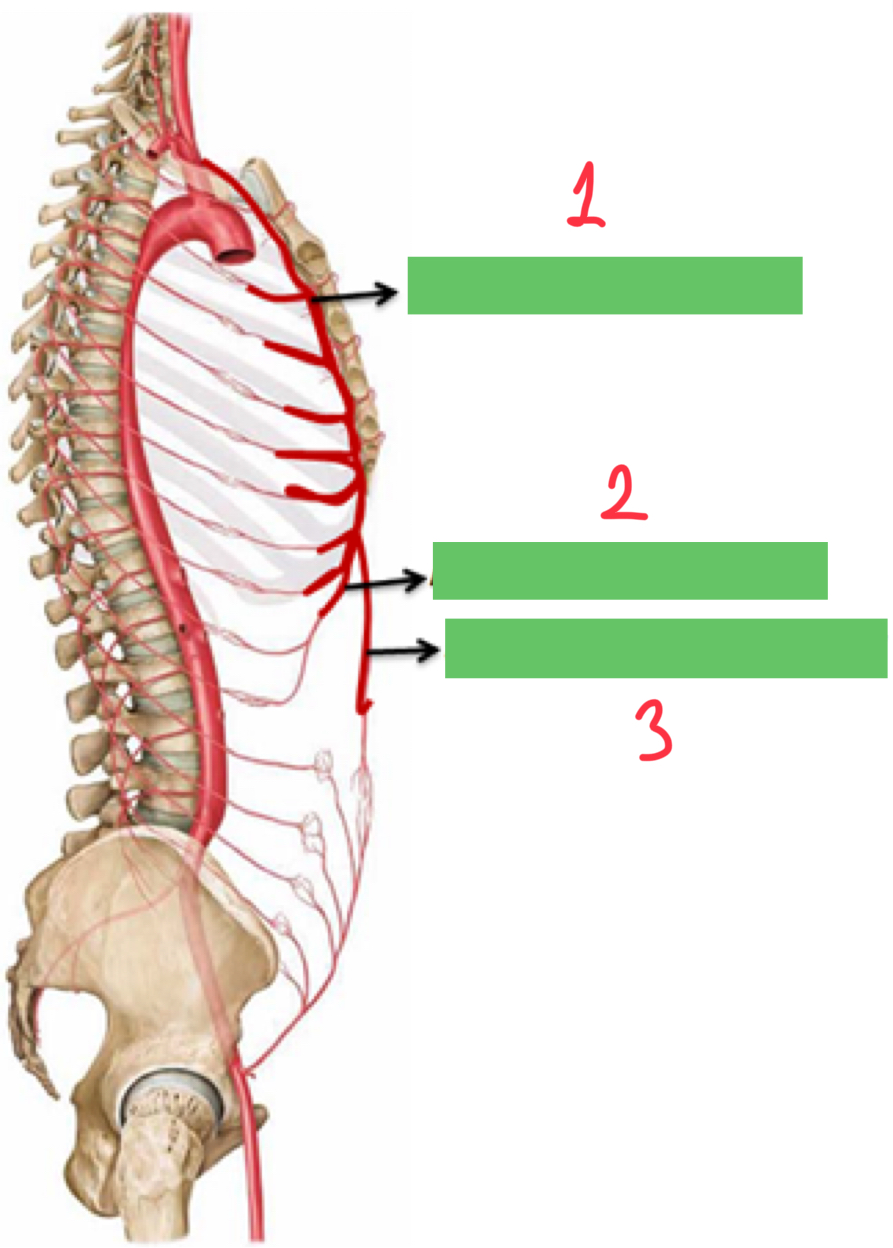 <p>1</p>