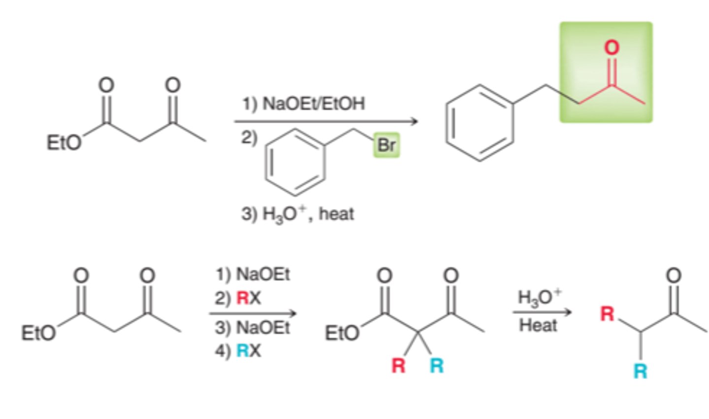 <p>converts an alkyl halide into a methyl ketone with the introduction of three new carbon atoms</p>