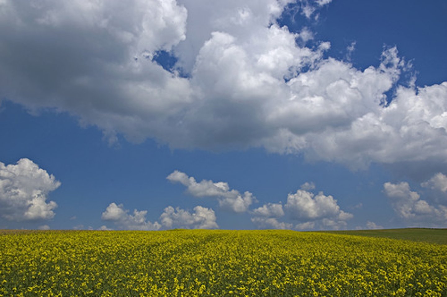<p>the weather is nice</p>