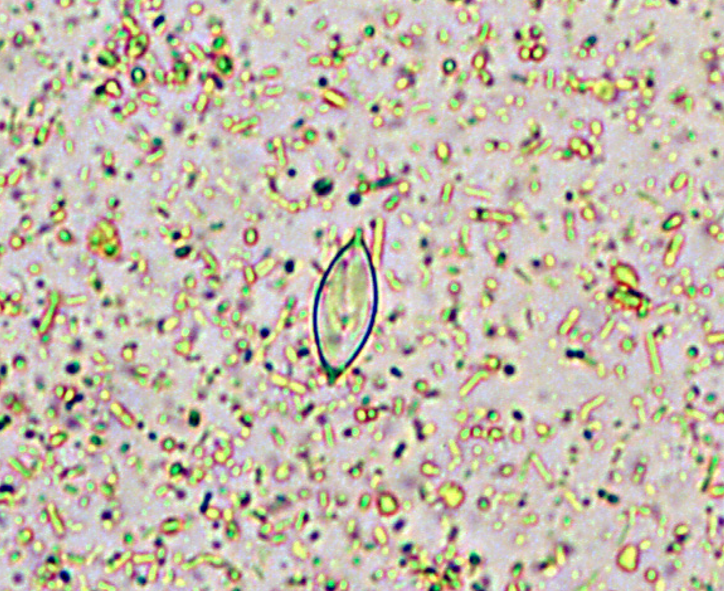 <p>whats this?</p>
