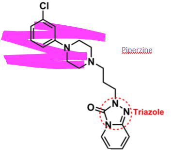 <ul><li><p>pharmacophore: phenylpiperazine&nbsp;</p><ul><li><p>chlorobenzene → more lipophilic, more into CNS </p></li><li><p>piperazine → enhances oral bioavailability </p></li></ul></li><li><p>fused bicyclic ring structure = triazole + benzene </p><ul><li><p>enhances binding affinity&nbsp;</p></li></ul></li></ul><p></p>