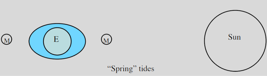 <p>They occur <strong>twice a month</strong> and are when the moon is between the Sun and Earth or is behind the Earth. <strong><span>Tides at these times are abnormally high and unusually low.</span></strong></p>