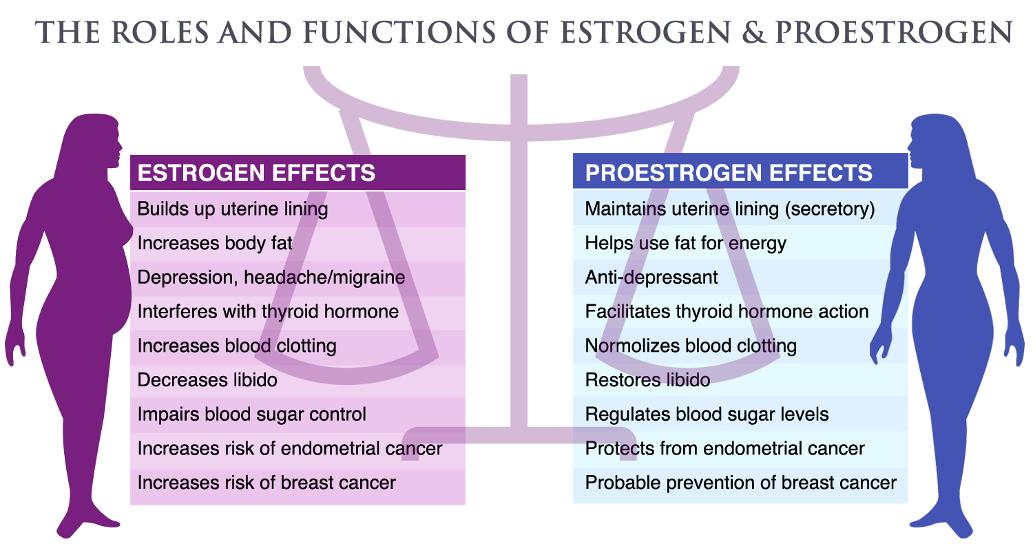 <p>estrogen </p><ul><li><p>estrogen estabiles and progesterone protects the endometrium </p></li><li><p>estrogen response to FSH </p></li></ul><p></p>