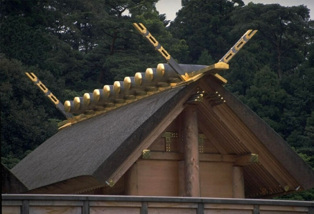 <p>What is this?</p>