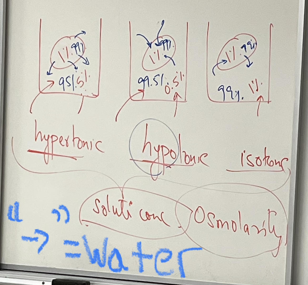 <p>Hypotonic solution</p>