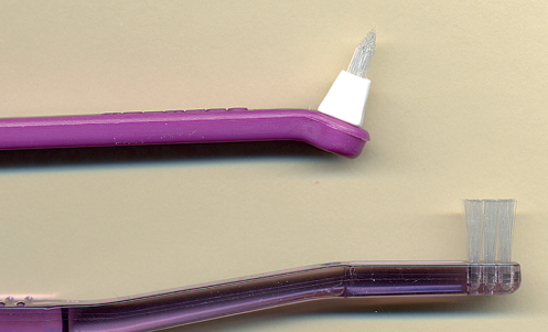 <p>End-tuft brush </p>