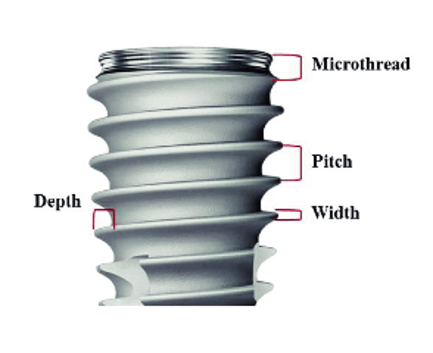 <p>- Parallel cylindrical </p><p>- Tapered cylindrical</p><p>- Thread design: shape, pitch, depth/width</p>