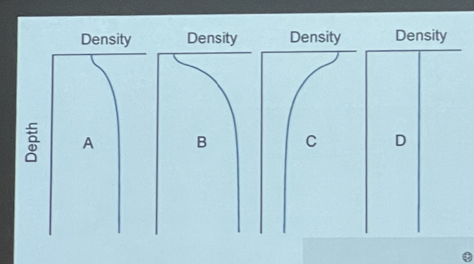 Which profile depicts an unstable water column 