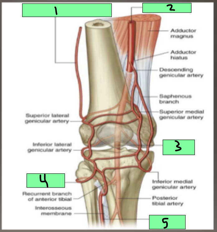 <p>1</p>