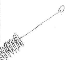 <p>used to clean test tubes</p>
