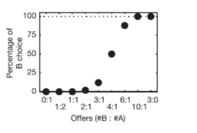 <p>4 blueberry drops = 1 apple drop</p><p>value(1A) = value(4B)</p><p>4 drops blue = 4</p><p>1 drop apple = 4</p><div data-type="horizontalRule"><hr></div><p>just multiply the number of apples by 4 to convert into common currency</p><p>1A  = 4.1B. when option is 0:1, monkey always select 1 apple which is value of 4.1 in framework.</p><div data-type="horizontalRule"><hr></div><p>common currency is like utility, everything must get converted into utility then compare</p>