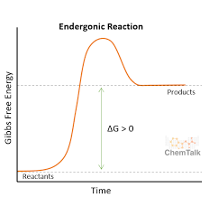 <p>positive ∆<em>G (GAIN ENERGY)</em></p><p>requires input of energy</p><p>anabolic; forms products</p>