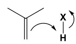 <p>Explain the following: <br><br>- Name and what happens in the mechanism<br>- Where the halogen ends up at<br>- The rate rule and which halogens is better than others<br>The stereochemistry</p>