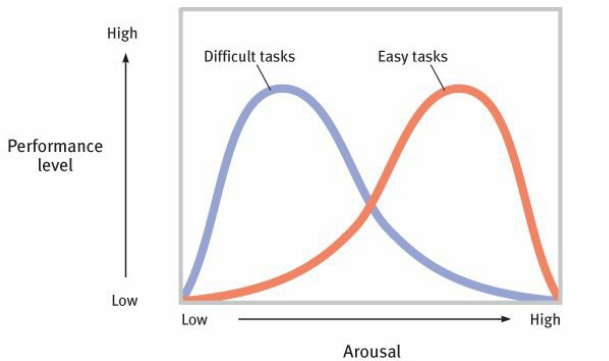 <p>the principle that performance increases with arousal only up to a point, beyond which performance decreases</p>