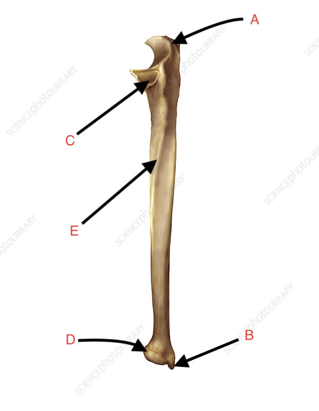 <p>What is C?</p>