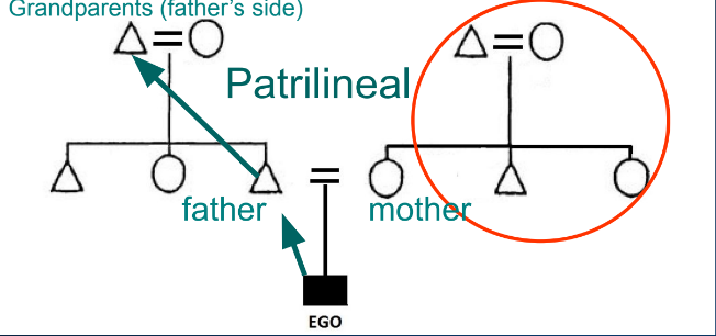 <p>What are patrilineal kinship systems?</p>