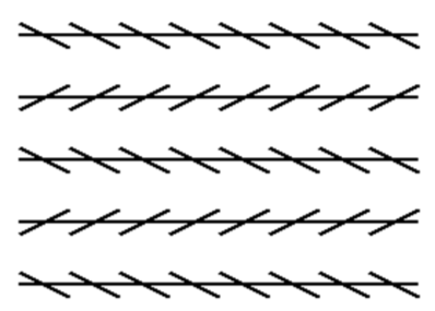 <p>(Perception)<strong> Visual Illusions:</strong> What does this image show?</p>