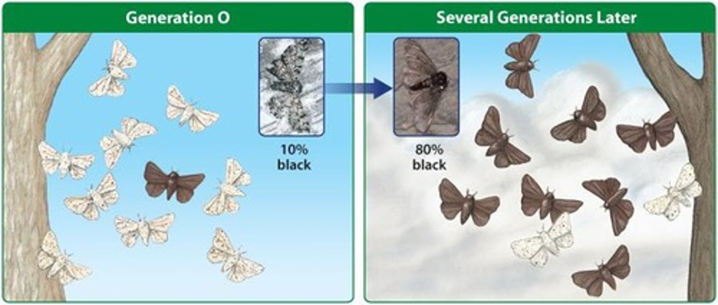 <p>Survival; pass on to offspring and increase the trait in the population.</p>