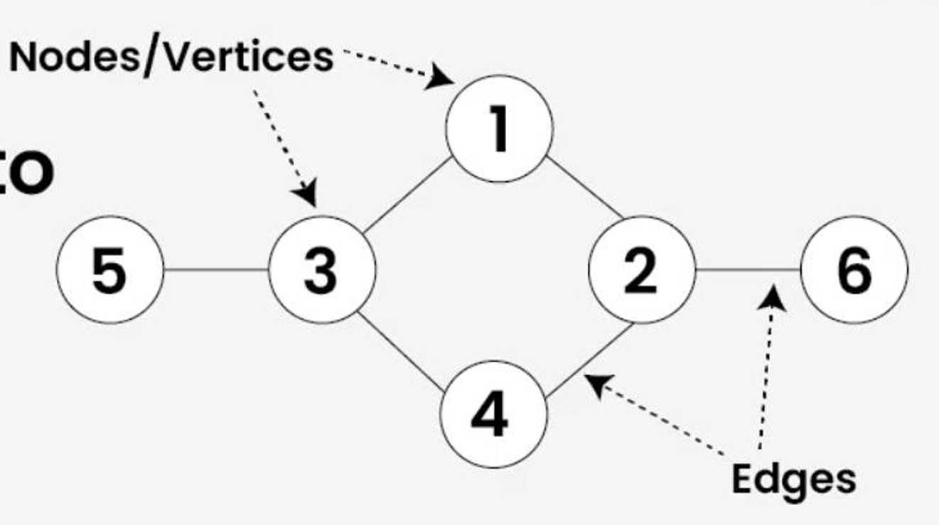 <p>Nodes/ vertices and edges</p>