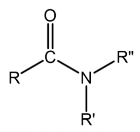 <p>Nitrogen atom single-bonded to a carbonyl carbon and two other groups; R or hydrogens</p>