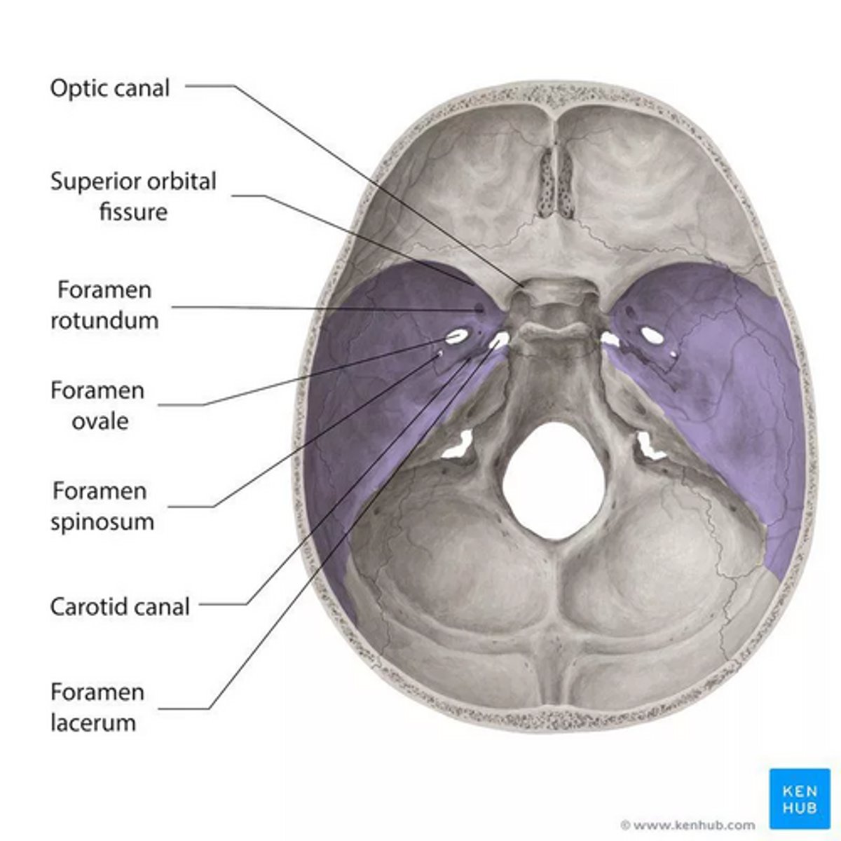 <p>N. opthalmicus - fissura orbitalis superior</p><p>N. maxillaris - foramen rotundum</p><p>N. mandibularis - foramen ovale</p>