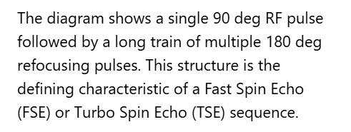<p>C. Fast spin echo</p>