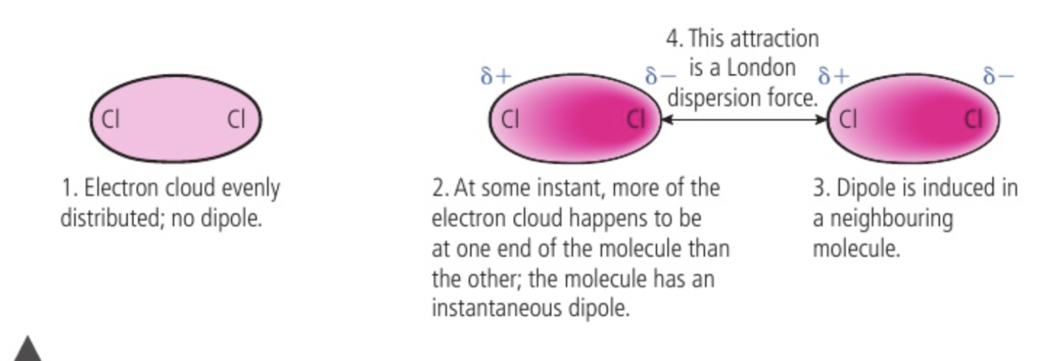 <p>non polar molecules like Cl2 have no permanent seperation of charge within their bonds because shared electrons are pulled equally in both directions, no permanent dipole</p><p>electrons behave as mobile clouds of negative charge, the density of cloud may be greater over one atom than over another at any moment, when this happens an instantaneous dipole gives some seperation of charge on one atom, only lasts an instant, and may influence electron distribution in bond of a neighbouring molecule, induced dipole (makes the nearby side positive because the negatives repel away from each other)</p><p>weak london dispersion forces occur between opposite ends of two temporary dipoles in the molecules, weakest intermolecular force, strenght increases with increasing molecular size as you have a greater number of electrons which increases the probability and magnitude of instantaneous dipole formation </p><p>only forces between non polar molecules, low melting and boiling points, little energy required to overcome and seperate molecules </p><p>strength increases with size so does melting and boiling point, responsible for the fact that non polar substances can condense to form liquids at low temperatures </p><p>can also be components of the forces between polar molecules but get overlooked because other forces are stronger </p>