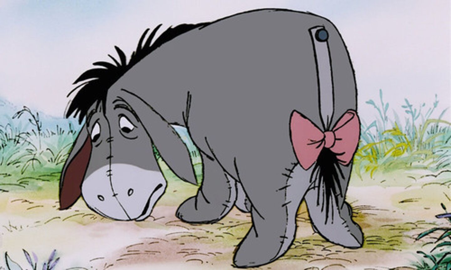 <p>someone who is often very unhappy and is always complaining about things</p>