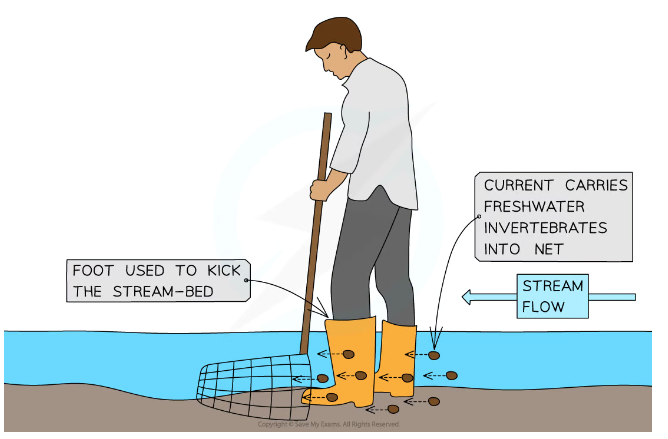 <p>Used to catch freshwater invertebrates living in streams or rivers. The net is placed in the stream-bed and water flows into it. Invertebrates are carried by the stream into the net.</p><p></p>