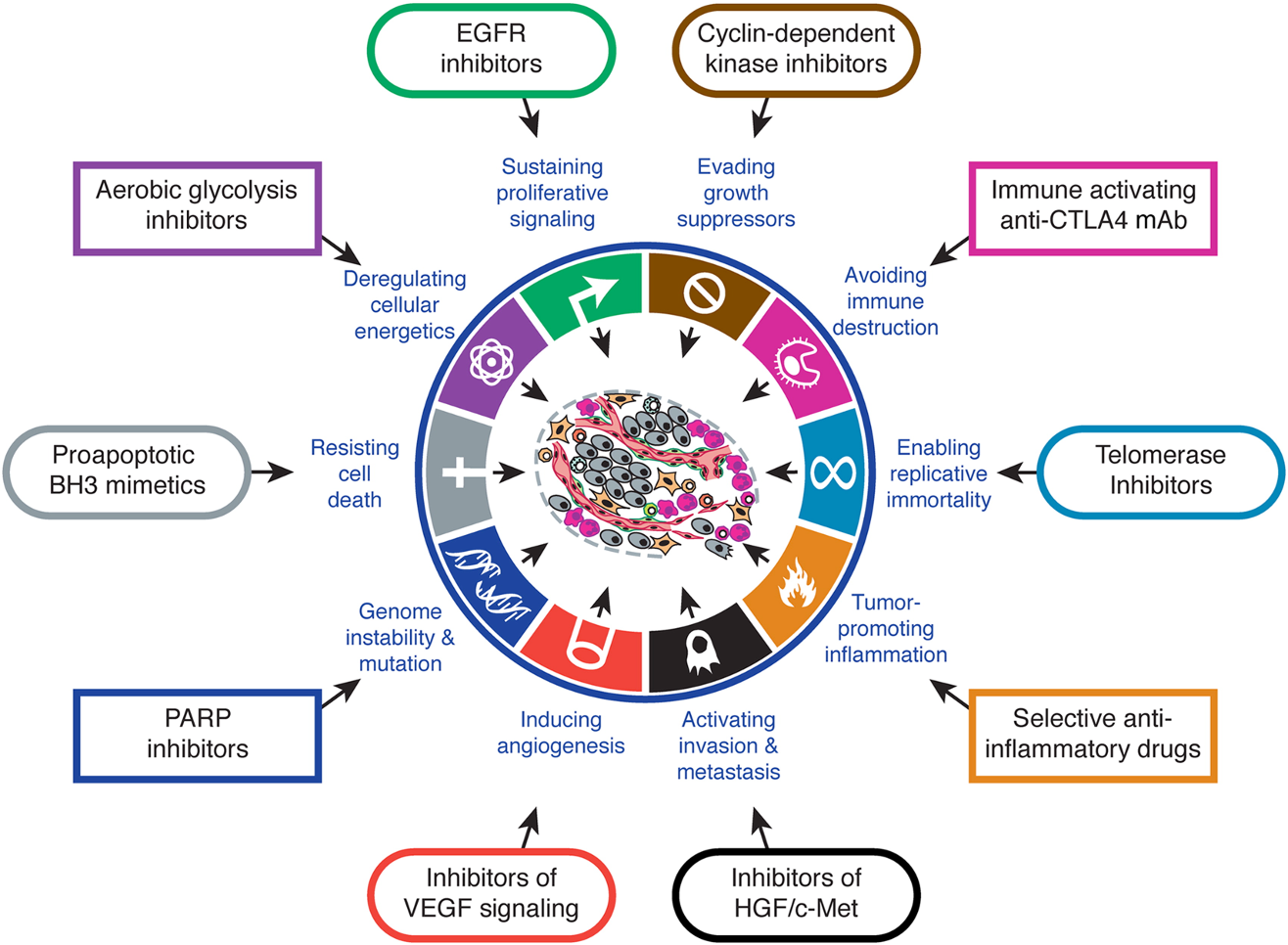 Therapies to target cancer