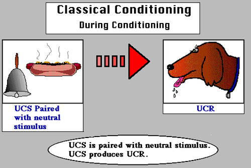 in classical conditioning, a stimulus that unconditionally - naturally and automatically - triggers a response