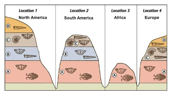 <p><span style="color: rgb(255, 255, 255);">Fossil assemblages used to correlate ages of rock strata in one region with</span><span style="color: rgb(255, 255, 255);"><br></span><span style="color: rgb(255, 255, 255);">those in distant localities</span></p>