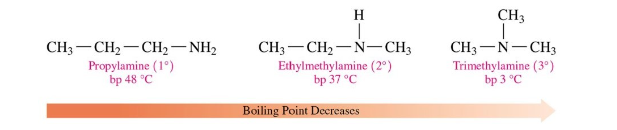 <ul><li><p>primary amines and secondary amines have higher boiling points than tertiary amines of similar molecular mass (decreases from primary to secondary to tertiary)</p></li><li><p>larger amines (longer carbon chains) have higher boiling points</p></li></ul>