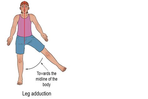 <p>Adduction is a movement towards from the median plane/midline. Examples include:  Opposite to abduction </p>