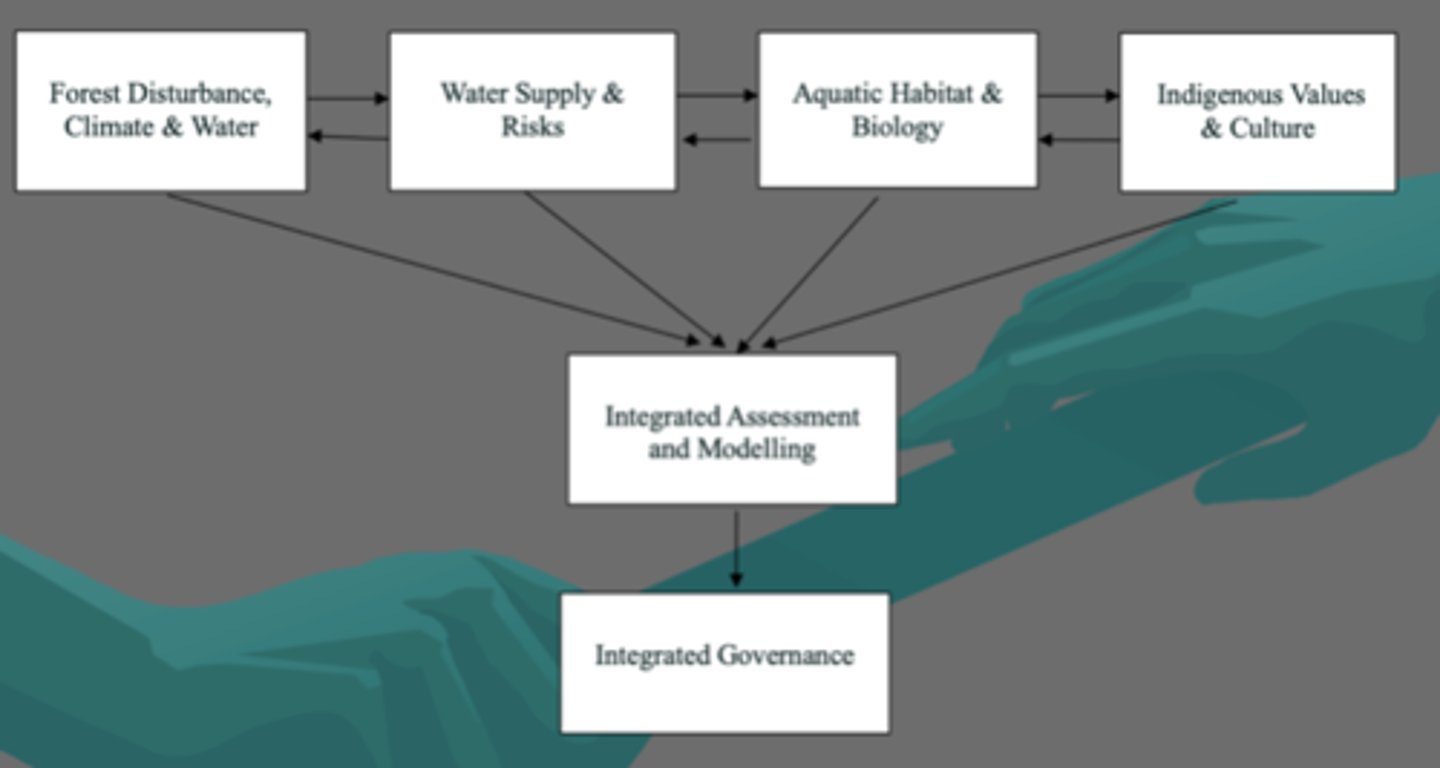 <p>- forest disturbance, climate and water</p><p>- water supply and risks</p><p>- aquatic habitat and biology</p><p>- indigenous values and culture</p><p>- integrated assessment and modelling</p><p>- integrated governance</p>