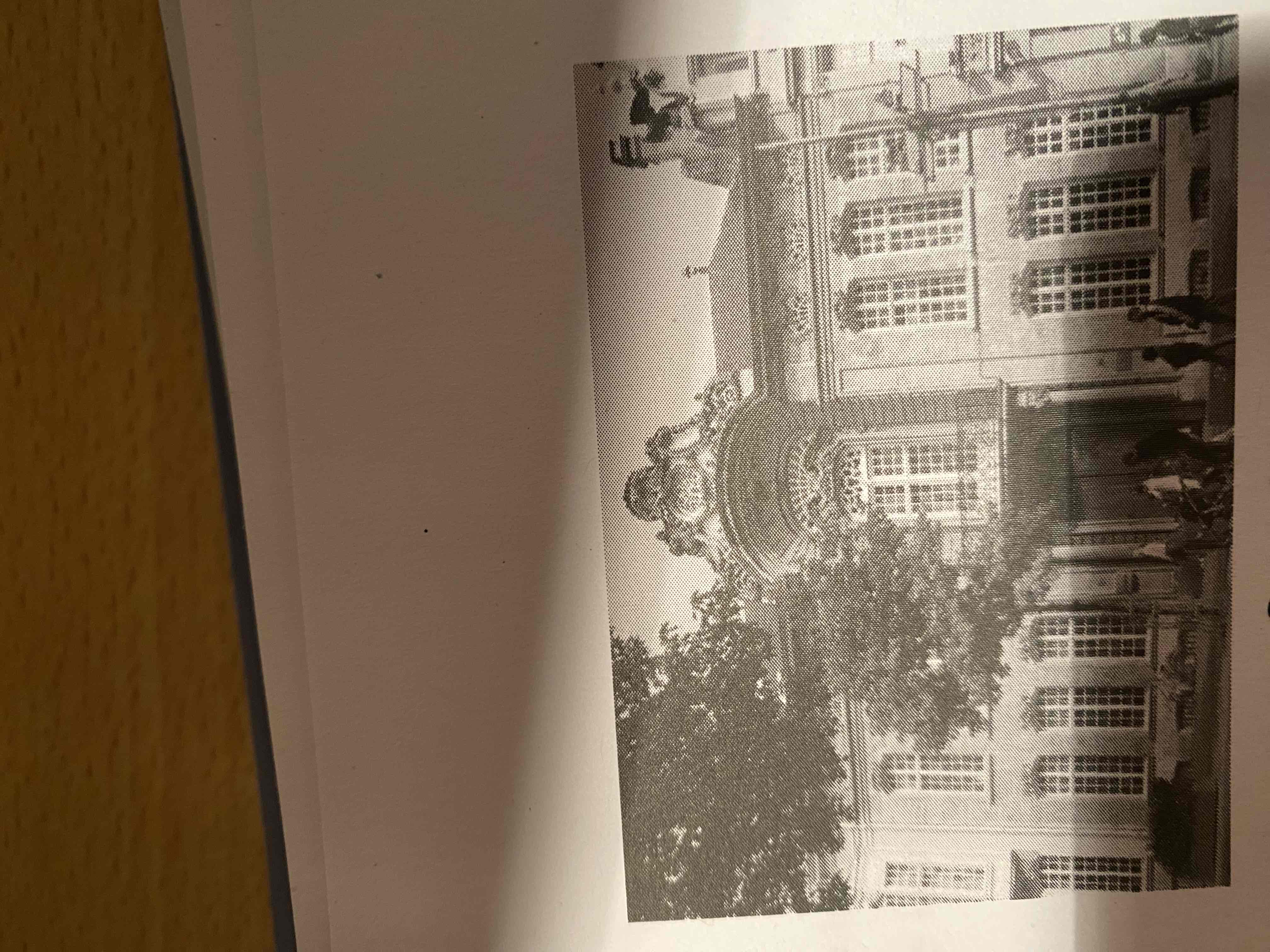 term image