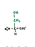 <p>A polar amino acid with a hydroxymethyl side chain.</p>