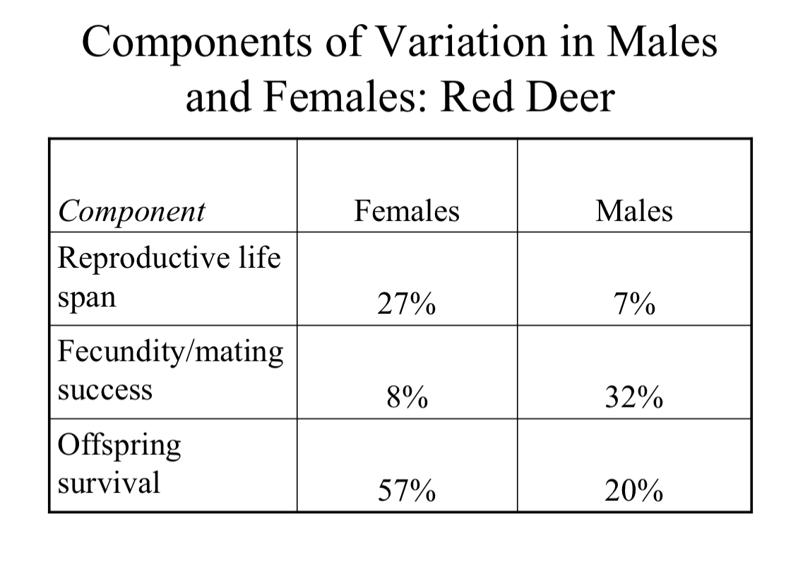 <p>High variance in mating success means many males do not get matings. Identical to many males dying.</p><p>Force of sexual selection affects morphology, behavior, and rate of speciation.</p>